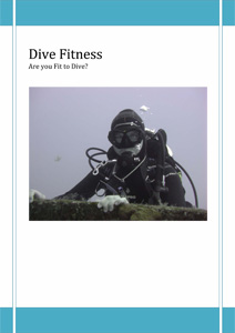 dive fit article, news news news news